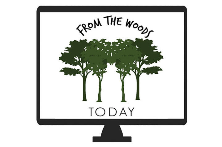 "From The Woods Today" logo featuring green trees on white background