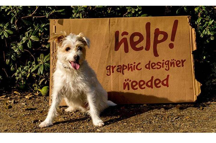 Design Competition graphic featuring dog and help wanted sign