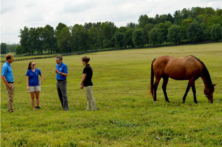 Four people in pasture on left and horse grazing on right