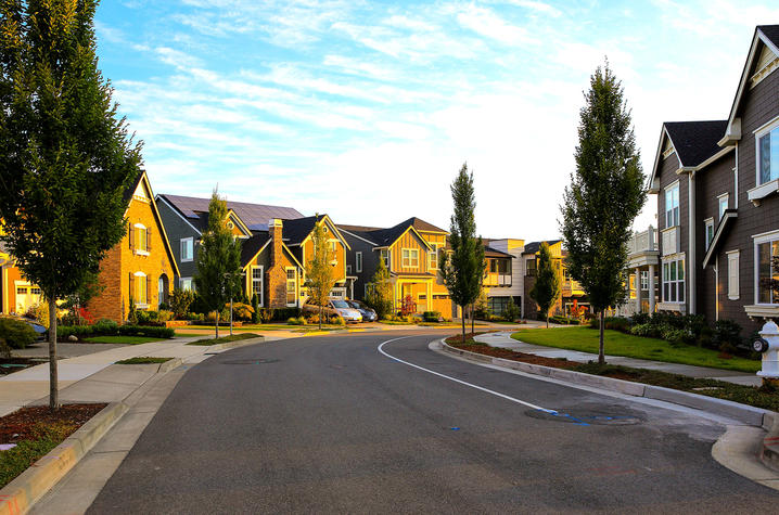 Detail of houses in neighborhood