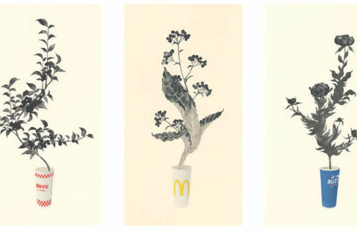 photo of 4 prints of plant stems coming out of fast food cups by Yoonmi Nam