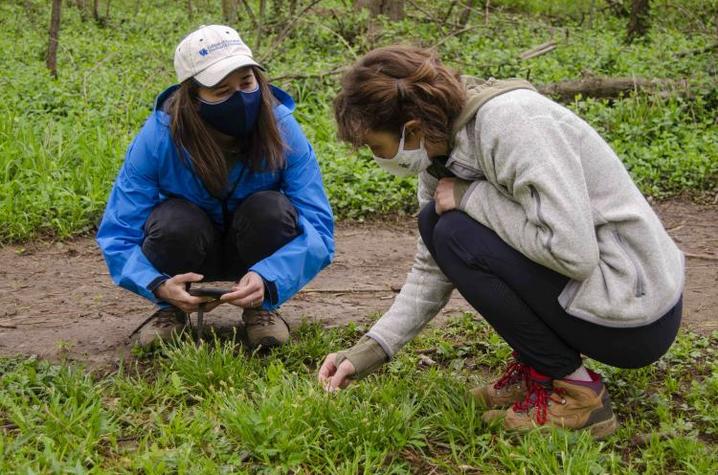 two students studying plants