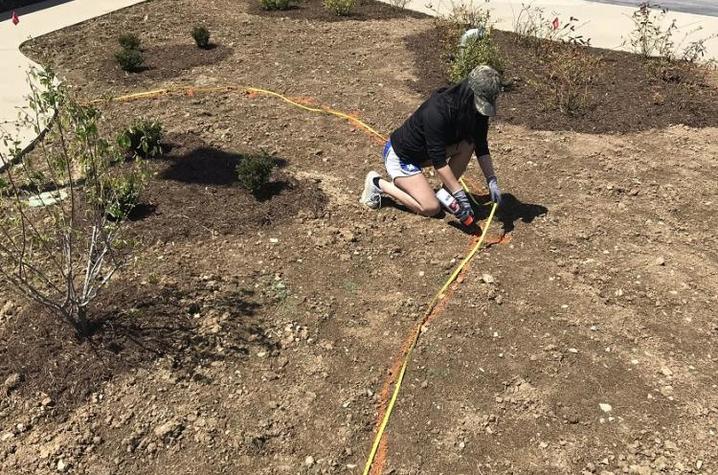 Megan Griebel helped select and arrange a diverse array of native trees, shrubs, perennials and grasses for the new green space. Photo provided.