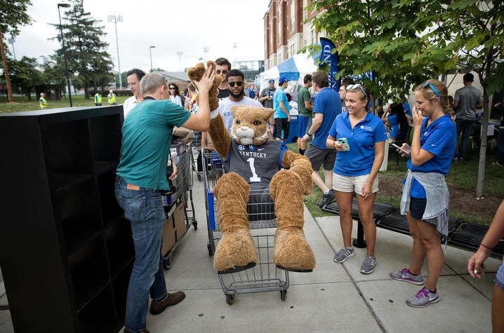 picture of the UK wildcat at move-in