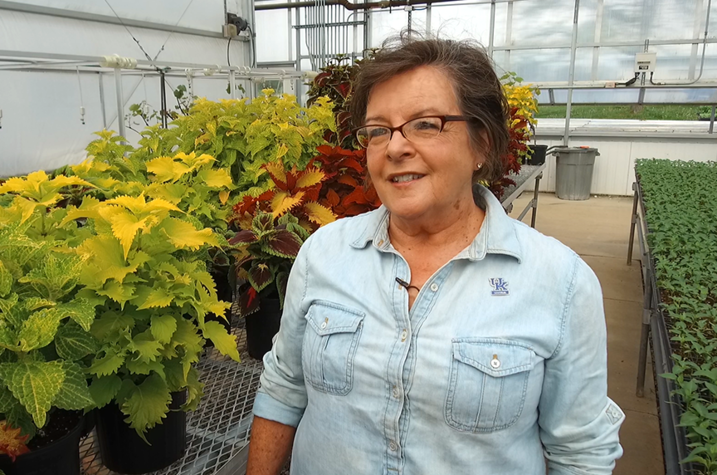 This is a photo of UK College of Agriculture, Food and Environment Dean Nancy Cox.