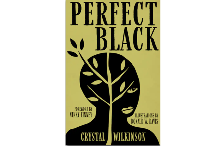 Cover art for "Perfect Black"