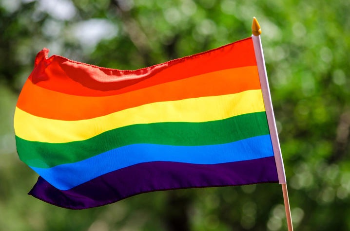 photo of rainbow colored flag