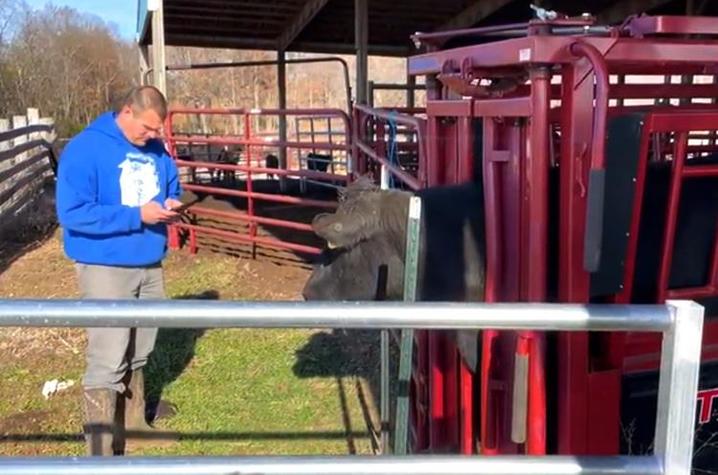 Cattle producers like Anderson County's Eric Phillips, pictured above, can input data in the field with the X10D app. Photo provided