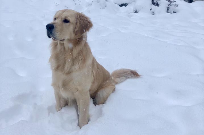 Fiddler began his advanced training in Alaska this past January.