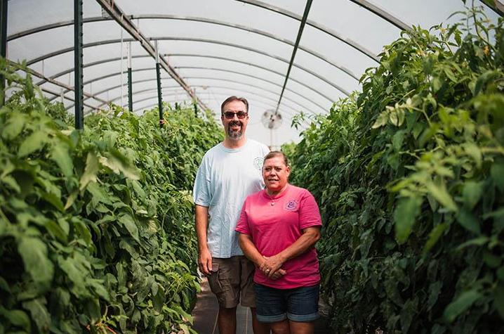 photo of Velvet and Mark Henkle in their high tunnels of tomato plants. 
