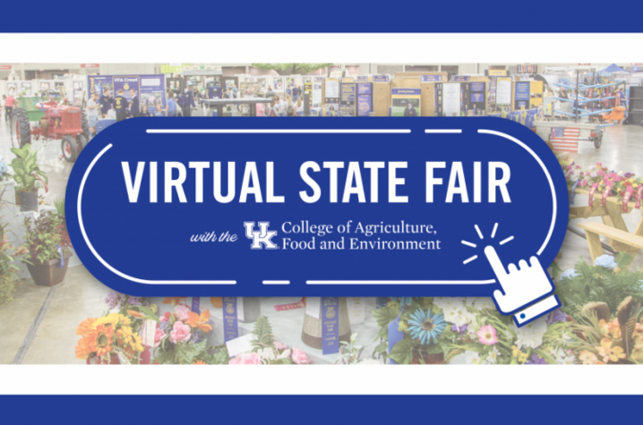 Virtual State Fair flyer