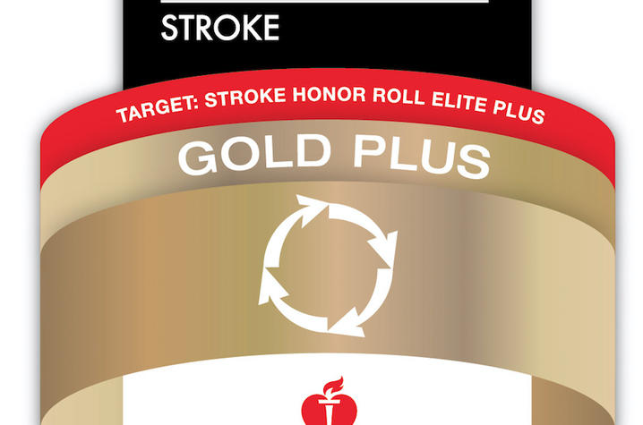 The AHA Stroke Gold Plus logo