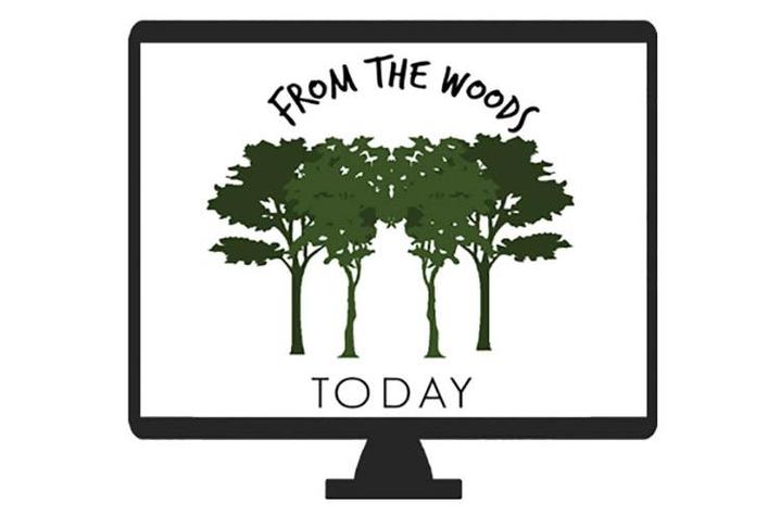 From The Woods Today logo