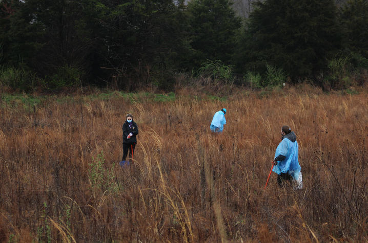 photo of UK Lewis Honors students planting trees in Daniel Boone National Forest