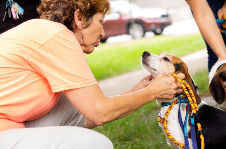 photo of woman petting a dog