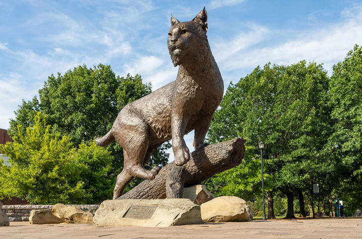 photo of Bowman, the wildcat statue