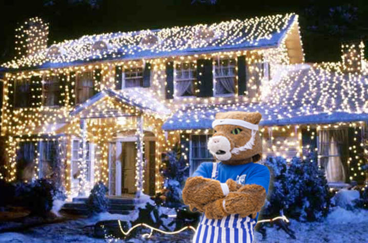 wildcat in front of well lit house