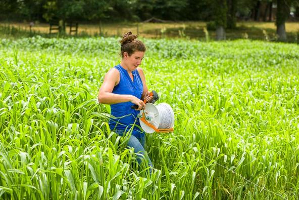 Summer Internships With UK Grain and Forage Center of Excellence | UKNow