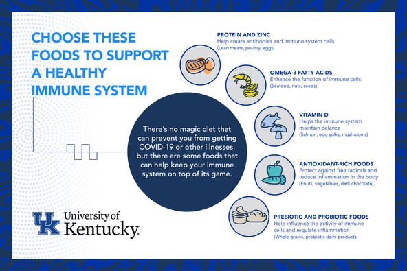 Supporting Your Immune System