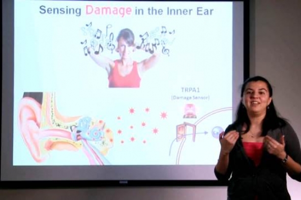 Jill biden doctoral thesis pdf picture