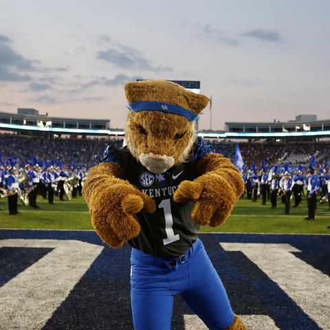 The Wildcat at a football game
