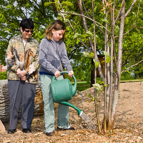Tree Planting at The Arboretum, photo by Stephen Patton