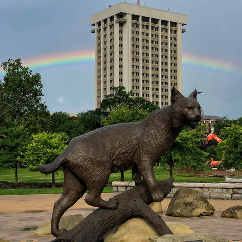 photo of Bowman statue with rainbow behind it 