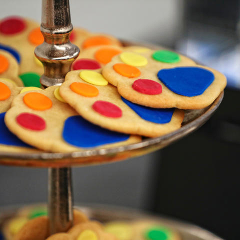 Rainbow cookies.