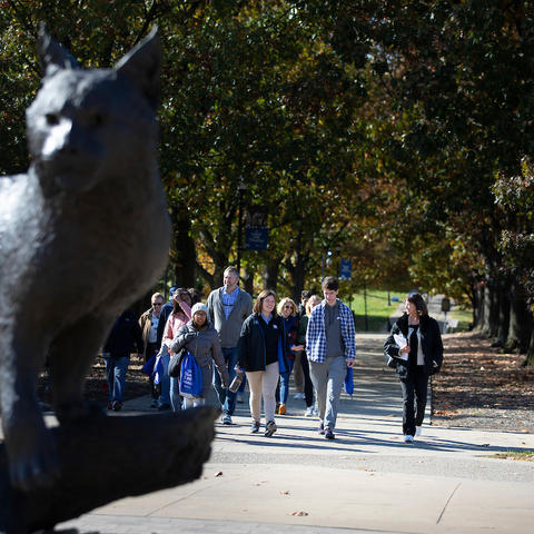 Photo of Wildcat statue and walking tour