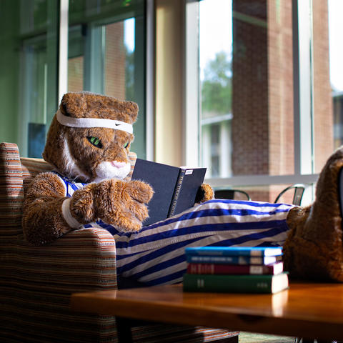 Photo of the Wildcat Reading