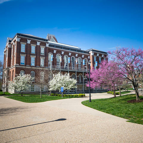 photo of Patterson Plaza area behind Main Building with flowering trees in spring