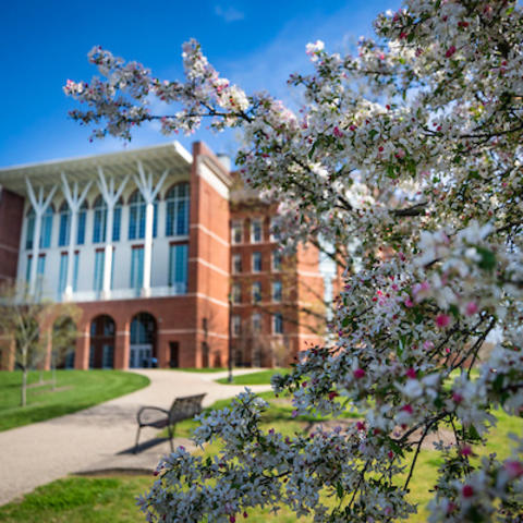 Photo of campus in the spring