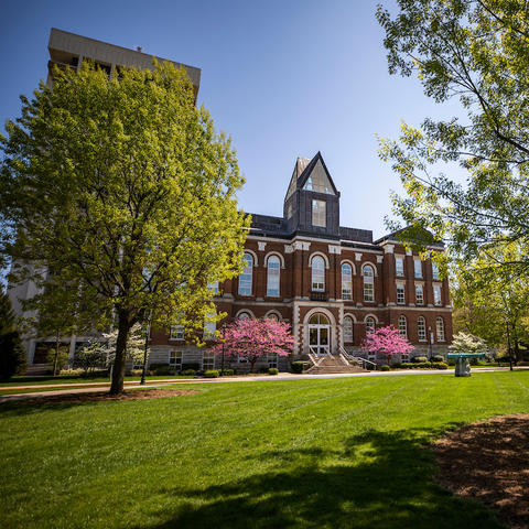 The front of Main Building at the University of Kentucky during the springtime, with trees and grass in the foreground and a clear blue sky in the background. 