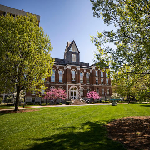 The front of Main Building at the University of Kentucky during the springtime, with trees and grass in the foreground and a clear blue sky in the background.