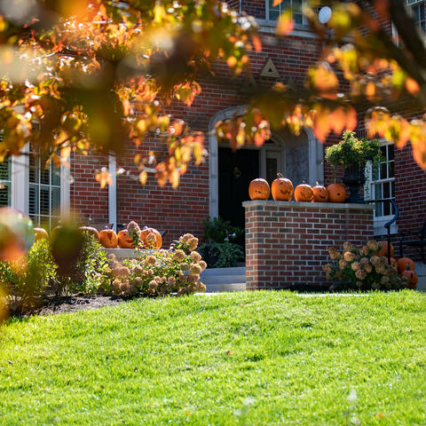 Photo of Tri Delta house decorated for fall