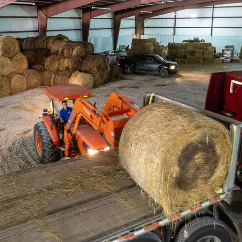 Agricultural and natural resources extension agent Reed Graham unloads donated hay in Jackson. Photo by Matt Barton, UK Agricultural Communications Specialist.