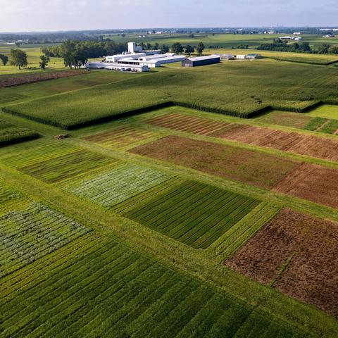 This is a photo of a huge variety of research plots covered the UK Martin-Gatton College of Agriculture Research Farm.
