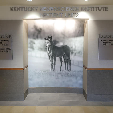 The new Kentucky Neuroscience Institute Inpatient Units at UK's Albert B. Chandler Hospital now occupies the fifth floor of Pavilion A.  Mark Cornelison | UKphoto