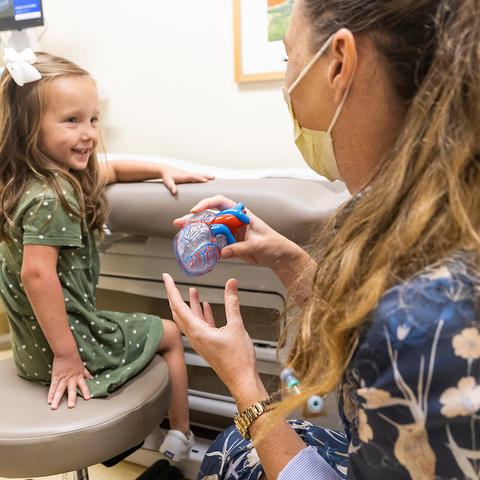 doctor showing a young girl a model of a heart