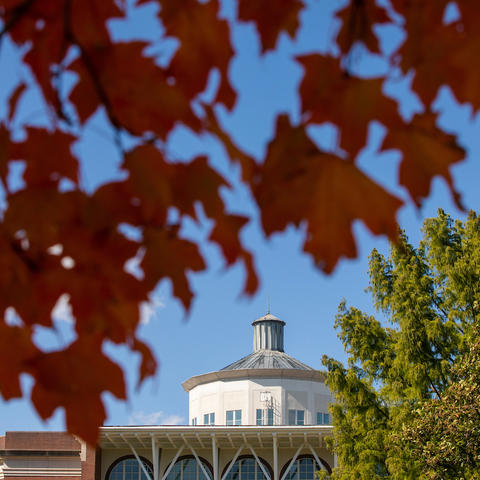Photo of fall leaves and William T. Young Library