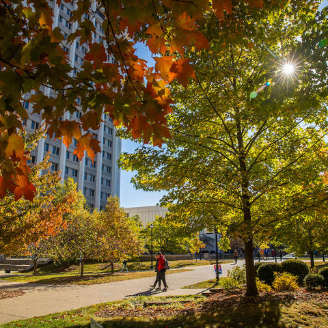 Photo of students walking through campus in the fall