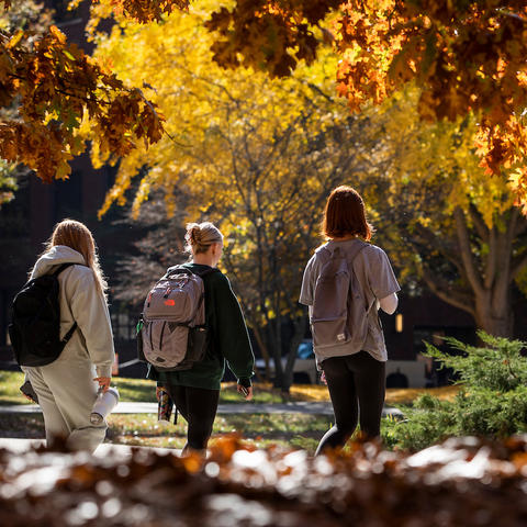 students walking on campus among orange and yellow colored trees