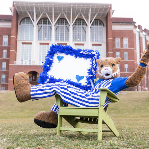 Wildcat in front of Willy T