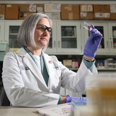 Jill Roberts, PhD, sits at a workbench in her lab. She has gray hair cut below her chin and she's wearing a white medical coat and safety glasses. She's holding up a scientific slide with three red ovals on it. Behind her are white metal cabinets. 