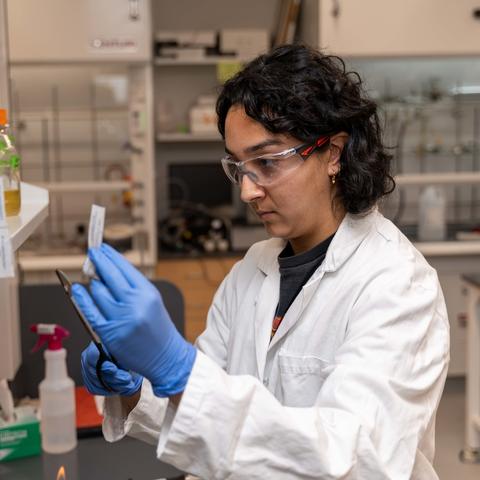 UK student Hena Kachroo works on preparing her space in the Miller Lab
