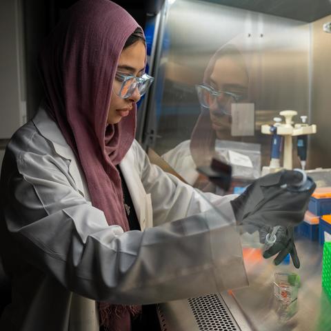 UK student at the time Elaf Ghoneim uses lab equipment under a chemical hood