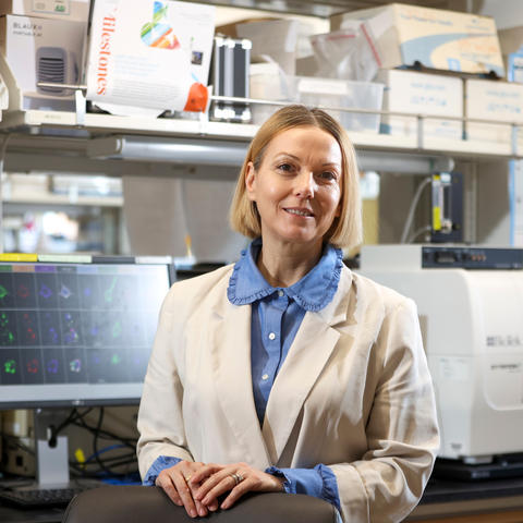 Maj-Linda Selenica, Ph.D., works in her lab on March 27, 2024. Carter Skaggs | UKphoto