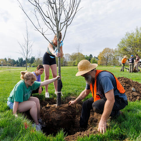 Kenton Sena hosted a tree-planting for his ecology of middle-earth class and environmental and sustainability studies on April 16, 2024. Mark Cornelison | UKphoto