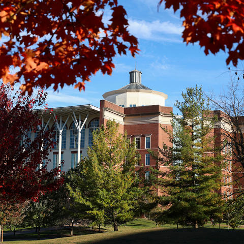 William T. Young library surrounded by fall leaves