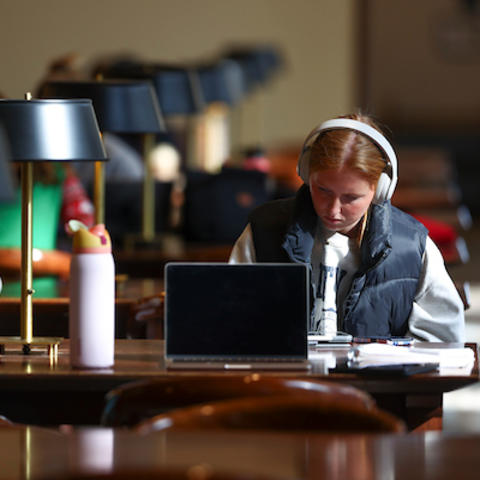 Students work in the library